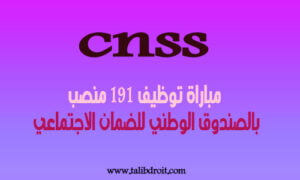 Read more about the article مباراة توظيف 191 منصب بالصندوق الوطني للضمان الاجتماعي