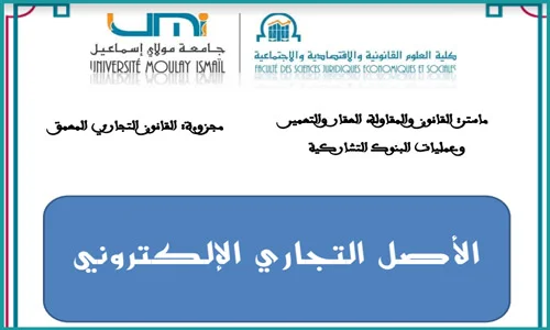 الأصل التجاري الالكتروني PDF