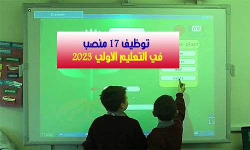 توظيف 17 منصب في التعليم الاولي بشهادة الباك +2