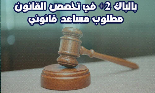 بالباك +2 في تخصص القانون مطلوب مساعد قانوني