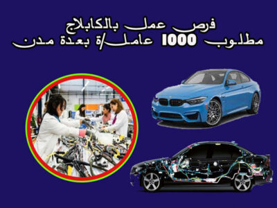 مطلوب 1000 عامل في كهرباء السيارات 2025