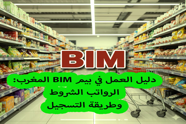 دليل العمل في بيم BIM المغرب: الرواتب الشروط وطريقة التسجيل